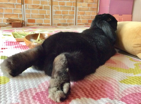 70895136-4E82-4DF0-BFC9-274899F3B1A0