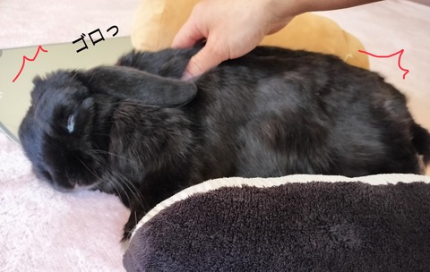 752F8D40-5B02-4603-81EF-0D940F241D3D