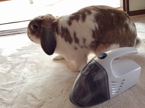 BD57CFBE-0F27-4BE1-A856-168D2B393B10