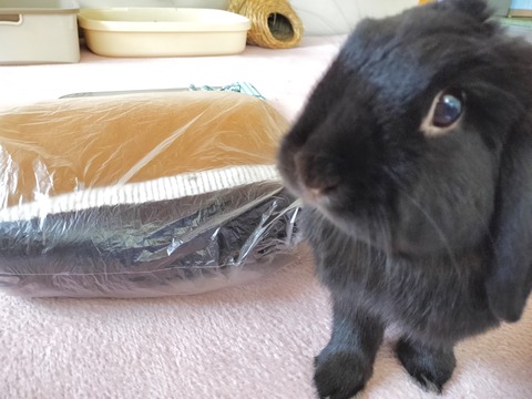 90F07BF1-A9B4-4B83-B979-9A65FF5398BE