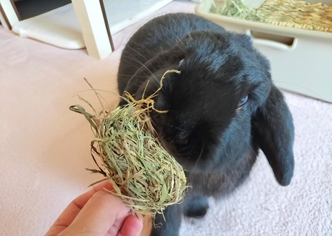 6669700E-9BD1-460F-BE29-24D797D02D3F