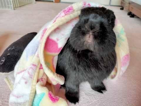 42055A54-EE15-4BF1-9014-1645B4BDDDB7