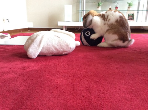 D0EE74D6-5FD9-42FB-B1D5-86C5C5EE8025