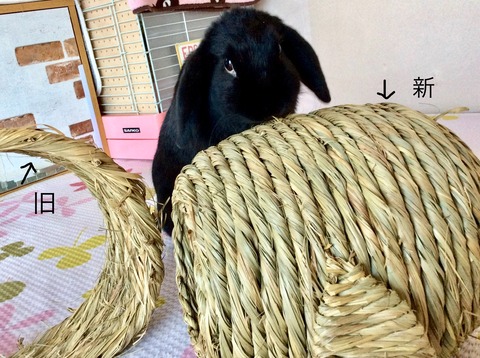 750E2C20-4FE0-4DA5-9D0C-6B3E8354EA78