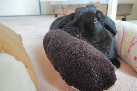 7747F21D-0DAA-4FFA-949F-73DE72A9237B