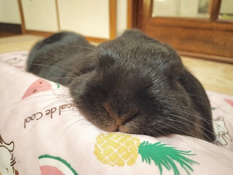 A34522B5-A0DB-4F7F-9A07-753398823841