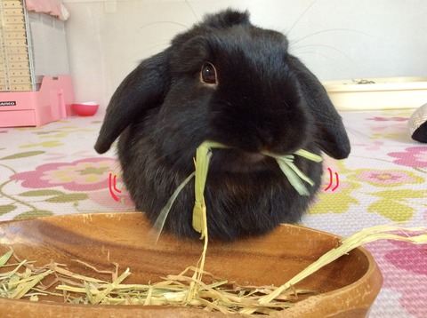 1221891C-95DF-4BCE-9932-987297CF87D1