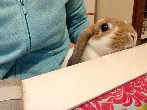 F553BB8D-899E-48A1-B0E0-218879CD8424