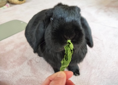 388D091E-AF44-4DAB-8A71-C5A5A3DD9ADC