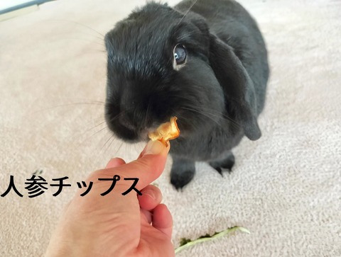 62FA9EFB-1DCA-4C31-BADA-97BD3D009709