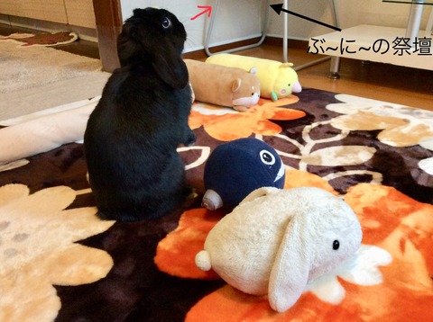 1984936B-E3B5-4EA4-9328-521B49316226