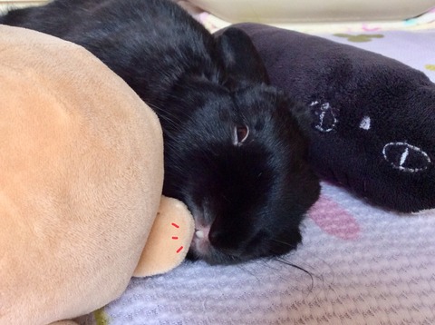 0AB2131C-4C27-4664-8A65-EC32DEFBD103