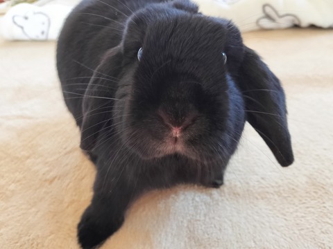 3ED60AE6-1E2A-4B97-A0B6-D2FAFA19DB17