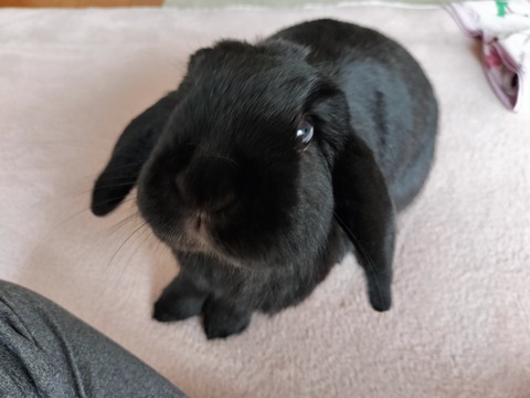 264FDC6C-8E5E-45B6-A43D-876F0568B0F6