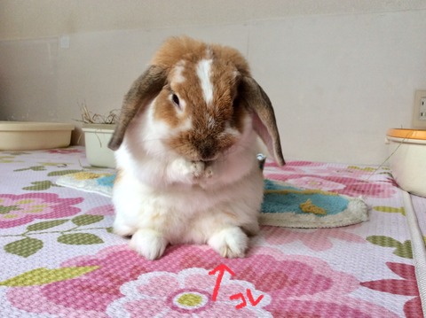 ACE5D6DB-A5EB-4884-9EDF-1885406C3927