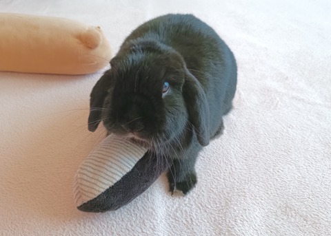 5F9C66BA-3CD6-49F9-A13B-3853CC04CF84