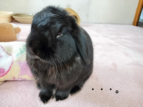 9AF3959F-4728-4CBD-868D-2BE7A5DD8B06