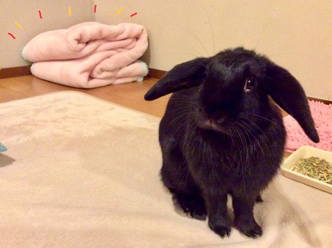 DB4C9C4D-4887-4FFC-A612-058F6CEAA034