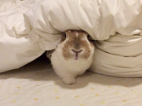 66C630D1-8F7D-4E5D-AEB0-15AA0E52EA70