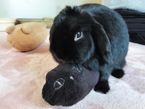 39981AEB-0CE9-4D6F-A290-5CE3E928AB0E