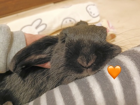 E729DC87-ED70-48E5-8B13-BEDD4ECA78E0