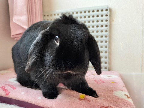 7D42E918-BC69-40CF-8BF9-08F3C6331A42