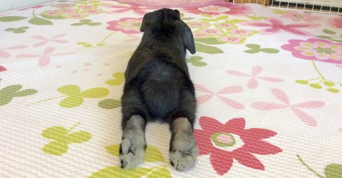 78D9DA1D-B58C-4012-979F-0319AEFB4F58