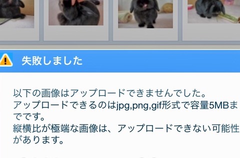 E3E6E78E-2A86-4443-8353-AFDC8AFCA7AC