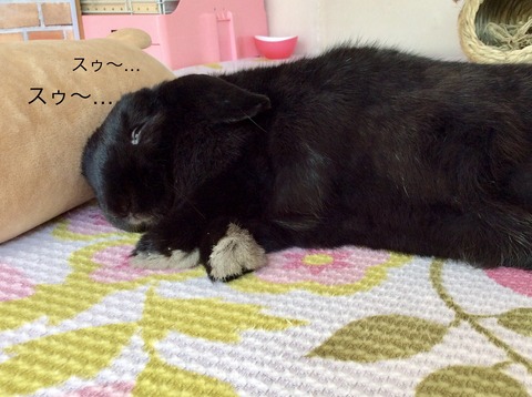 311BE6B7-FC18-4075-8A4A-F702081EAAF8