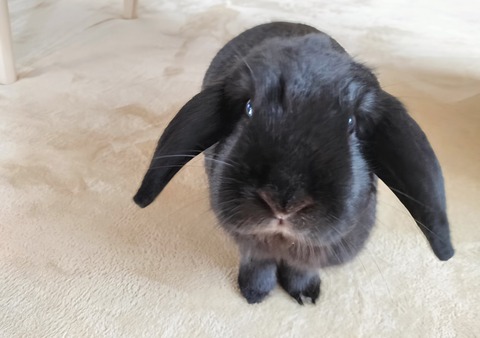 5723EB8F-EB21-4DE7-8C00-AE294D2C21B0