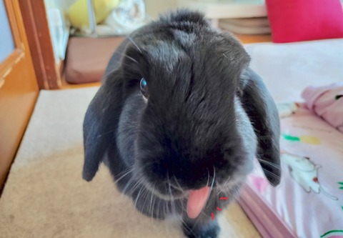 E8FE4D0A-1484-491B-A059-CC7664D2D1F6