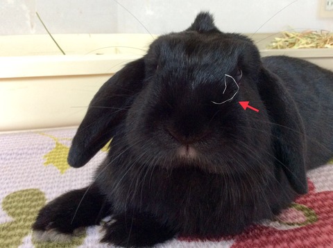 701C6BB0-EE68-4F50-B0F3-C532F84A32D1