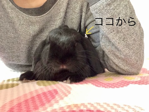 79F9631A-7BB2-488F-980A-EF0E5CA06793