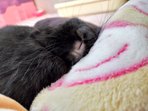 ADB5CC4A-7D6D-4639-9E5E-436BB706F356