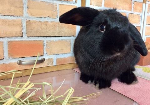 170660A9-4A03-4614-939B-5A9F2D2C15D2