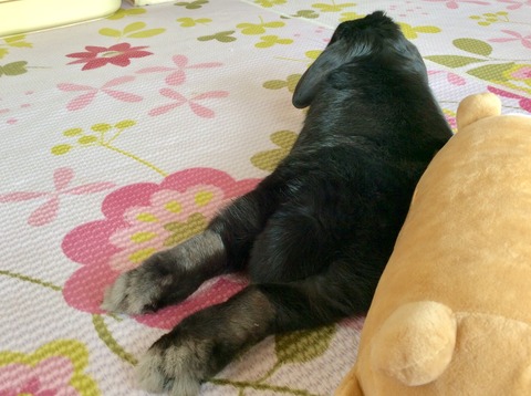 6BC959BD-0AC3-443B-B364-0F07CCB640A9