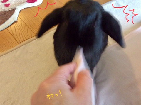 C8E80F87-34CC-4E30-9039-86F8674529A3