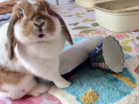 F757F5C6-DE81-4A46-A6D7-FE0FA77B9386