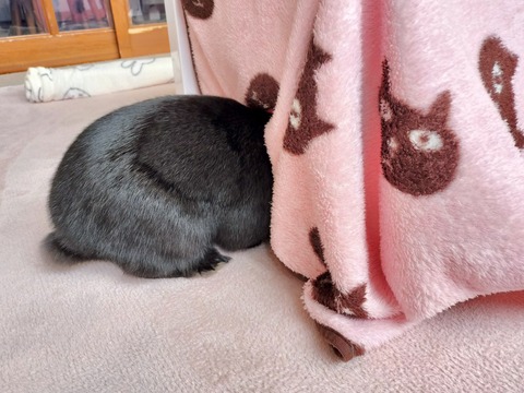 B6A07111-21D3-4F9A-BD3F-976669D8F85B