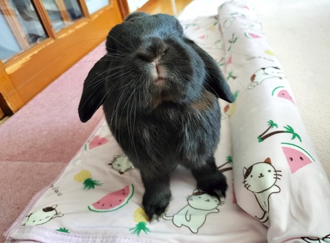 9ED0B77D-7FAC-45F5-B8BA-4C91A58F7679