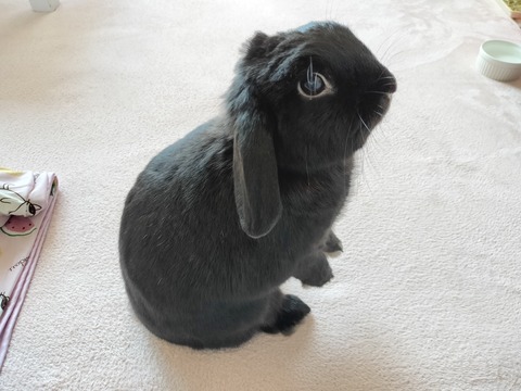 B622415D-3FFA-491A-AB30-00FE54CFBDBB