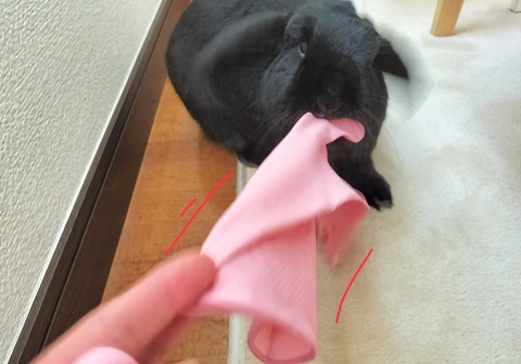 F1F2A7DA-2F1F-42E9-B7FC-D249E7FB57C3