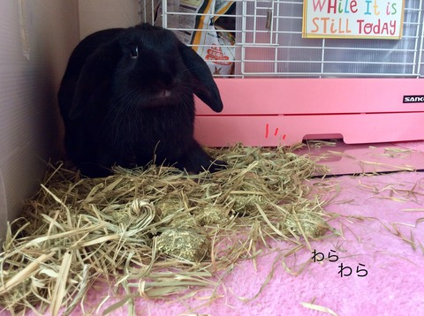 0AAB448D-47AA-4FCA-B97E-20D3EECBB139