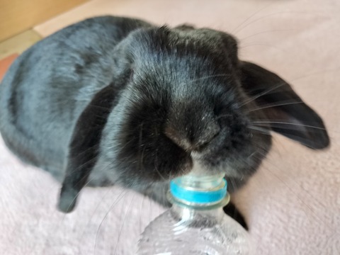 AA8C6207-F8DF-4F5B-BED6-D94C066F5471