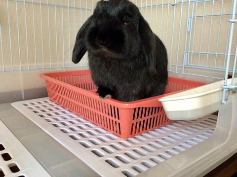 C78310C3-9461-4B1E-A403-A7B79DE584BA