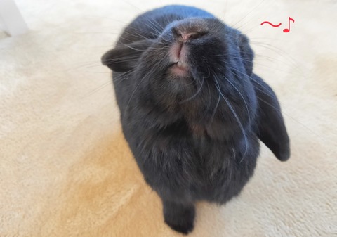 4CCB6A82-B2E3-4B7D-A3EC-35E9670E21AC