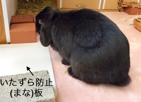 1926BB44-020E-4333-8F98-5CF4E8DC5B99