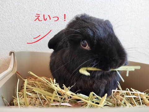 9588A550-D613-4613-81C3-1B39121B5AFC