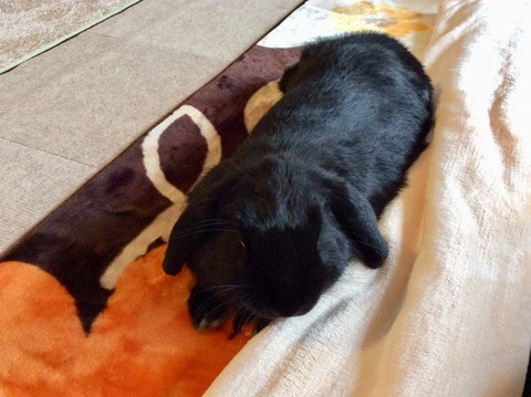 D5B90957-6448-405A-88BF-490C89C273FA