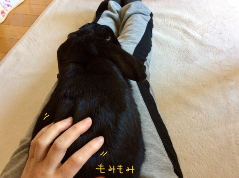 C1488BBB-6AF8-4B91-9BBC-2F5DD46292D9